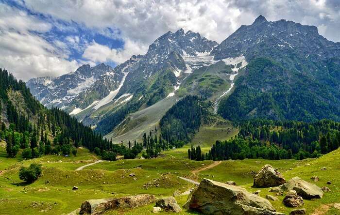 Himachal Pradesh - MHMHP01 photo 1